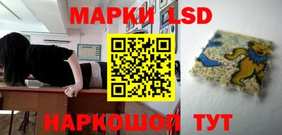 стаф Сланцы