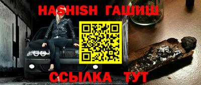 стаф Сланцы