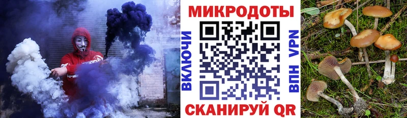 Галлюциногенные грибы MAGIC MUSHROOMS  как найти закладки  Янаул 