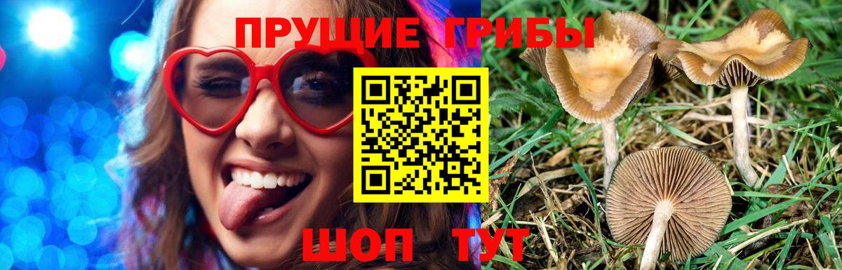 Галлюциногенные грибы Cubensis Янаул