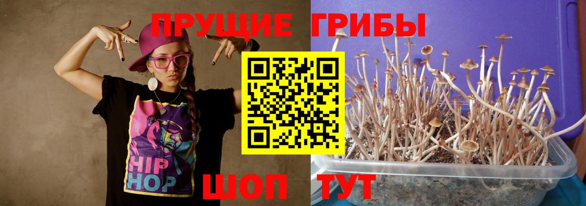 купить   Вход с VPN  Янаул  Галлюциногенные грибы мицелий 